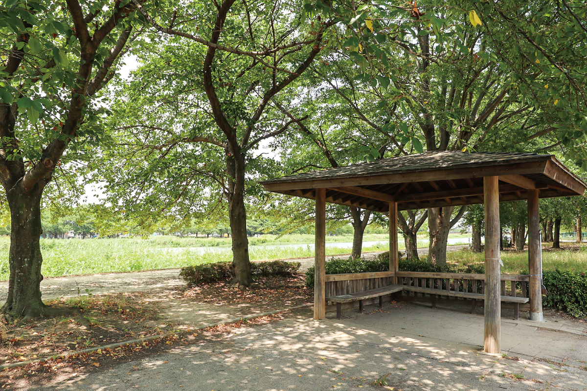 藤塚三本木公園