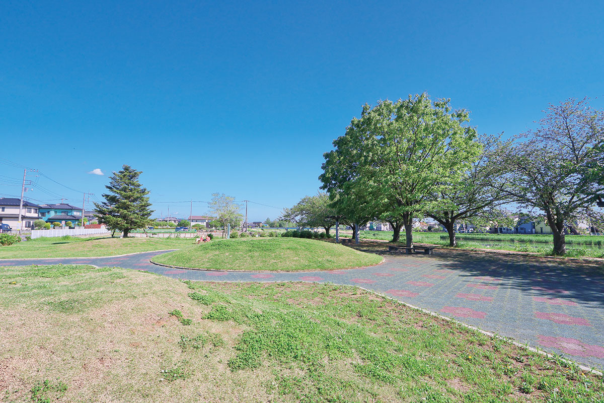 ひまわりの広場