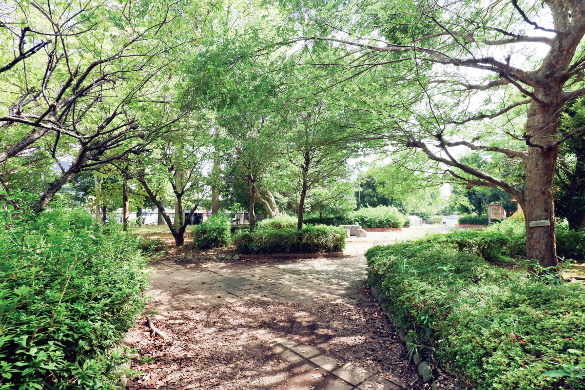 八幡公園
