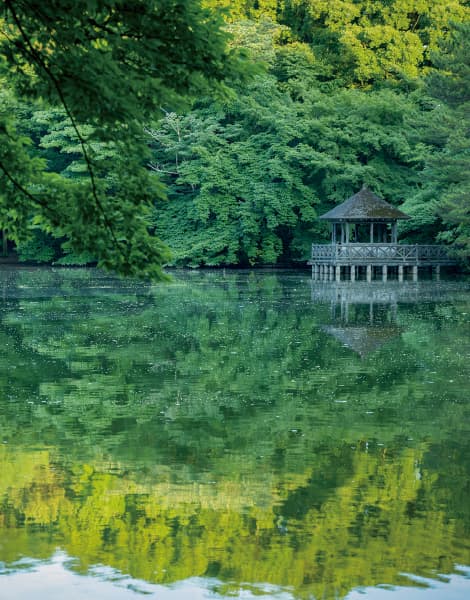 石神井公園（徒歩7分・490m）